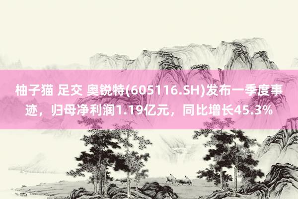 柚子猫 足交 奥锐特(605116.SH)发布一季度事迹，归母净利润1.19亿元，同比增长45.3%